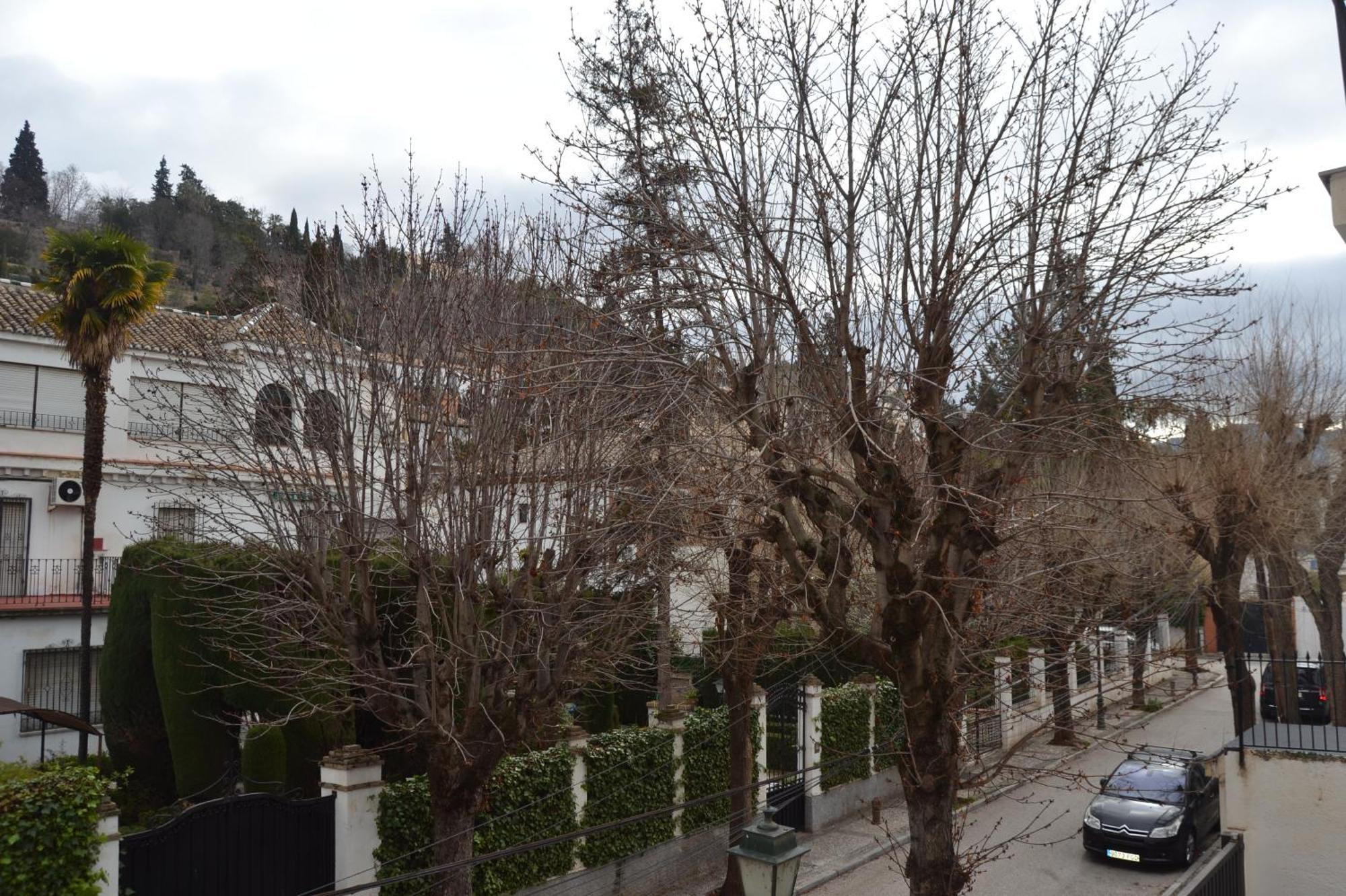 Appartement Carmen Del Cadi Granada
